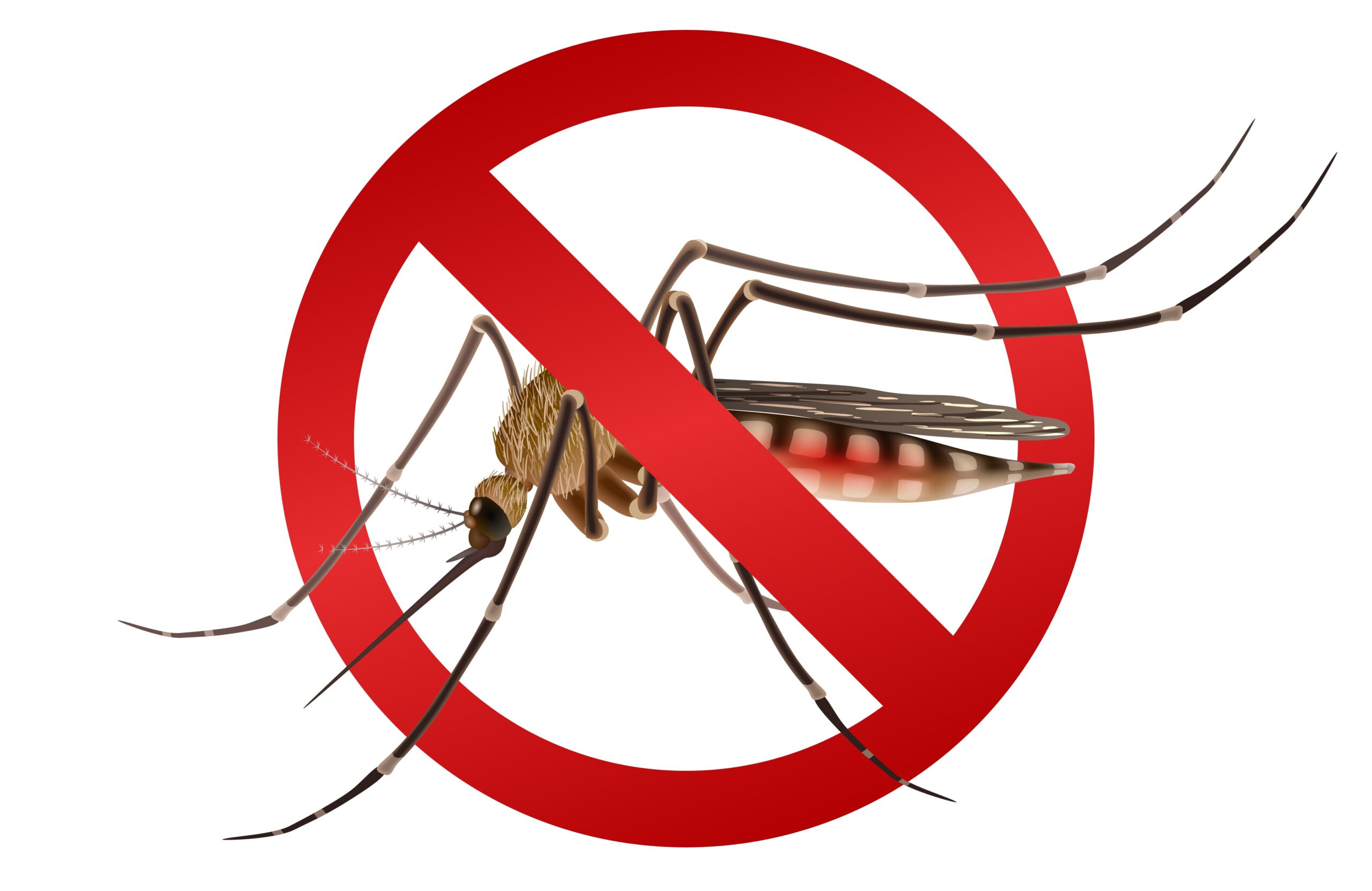STOP! KNOW THE FIVE WAYS TO PREVENT MALARIA FEVER IN THIS RAINY SEASON.